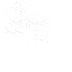 Aza Ventures Logo